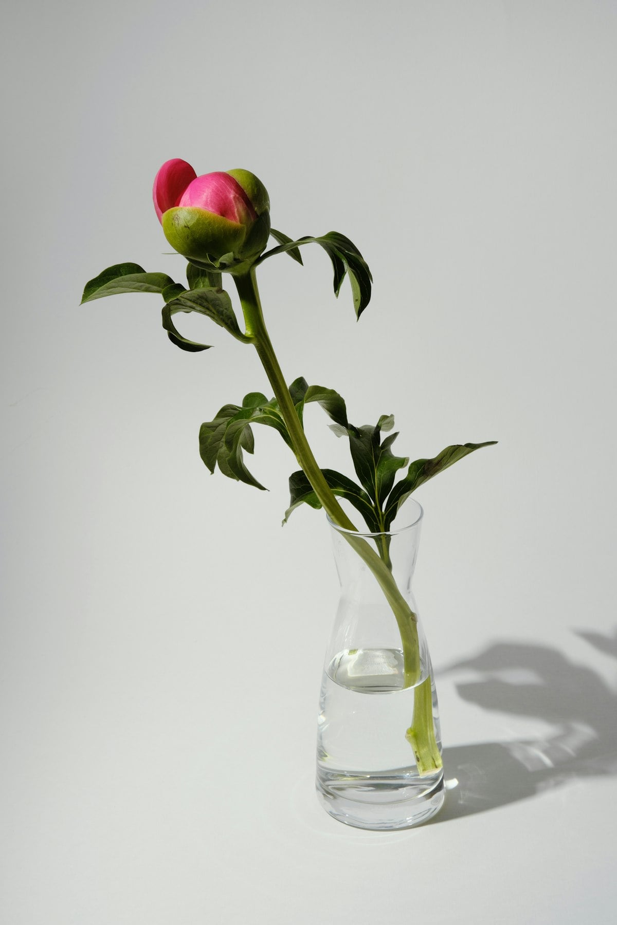 Vase soliflore - Location matériel événementiel Nice - HOVENT